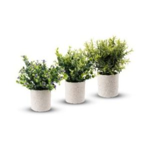 Job Lot of 3 Sets of Artificial Plants in White Pots Brand New